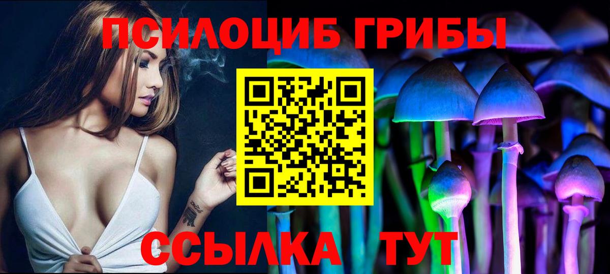 Фурманов  Псилоцибиновые грибы Cubensis  Вход с VPN  Псилоцибиновые грибы Psilocybine cubensis 
